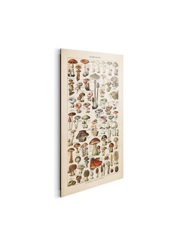 Orangewallz Kunstdruck "Mushrooms"