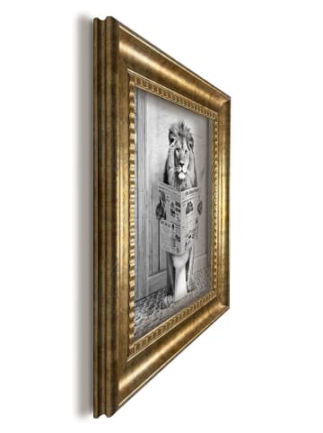 Orangewallz Gerahmter Kunstdruck "Lion Toilet"