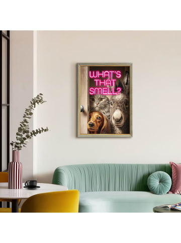 Orangewallz Ingelijste kunstdruk "Cats Looking"