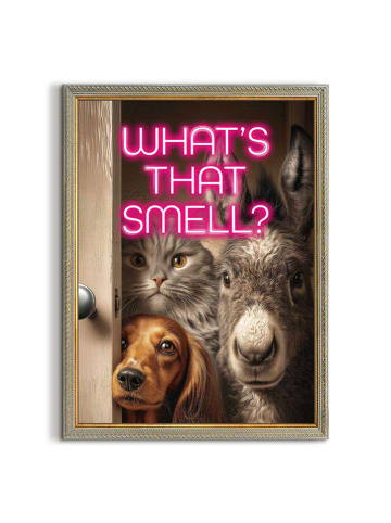 Orangewallz Ingelijste kunstdruk "Cats Looking"