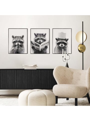 Orangewallz Druki artystyczne (3 szt.) "Racoon" w ramce
