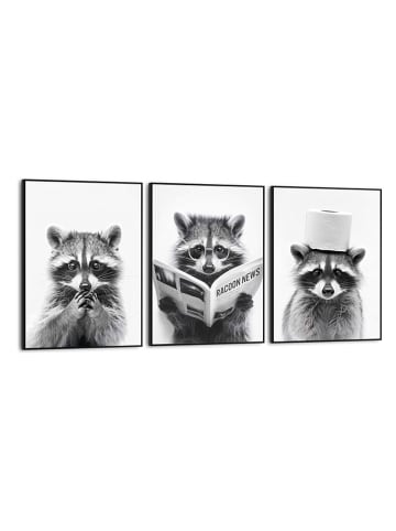 Orangewallz 3-delige set: ingelijste kunstdrukken "Racoon"