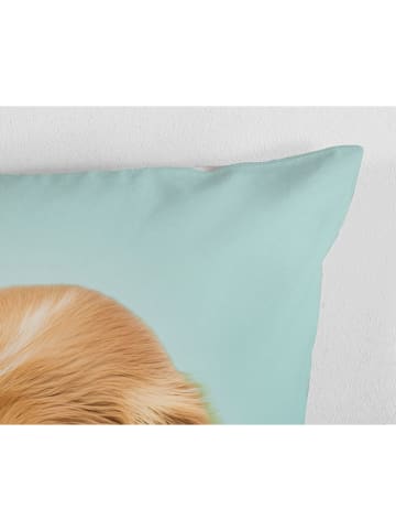 Good Morning Renforcé-Bettwäsche-Set ''Paxy'' in Türkis/ Hellbraun