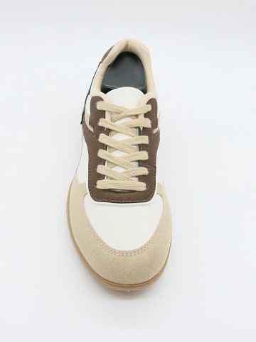 Bellucci Sneakers in Beige/ Braun