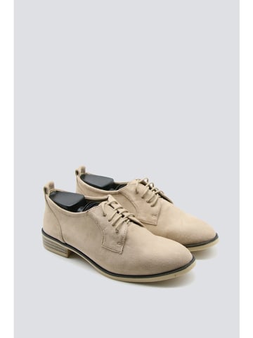 Bellucci Schnürschuhe in Beige