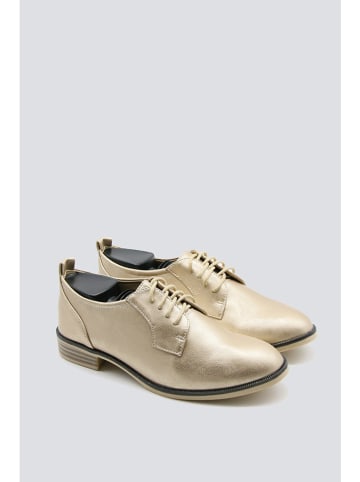 Bellucci Schnürschuhe in Gold