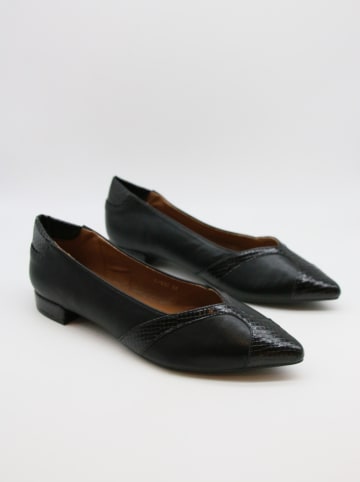 Bellucci Ballerinas in Schwarz