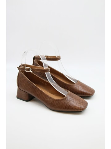 Bellucci Slingpumps in Braun