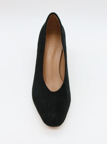 Bellucci Pumps in Schwarz