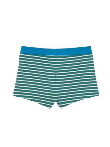 finkid Badehose "Uinti" in Grün/ Blau