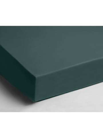 Day Dream Jersey-Spannbettlaken in Grün