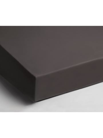 Day Dream Hoeslaken grijs