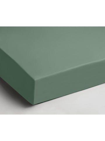 Day Dream Hoeslaken groen