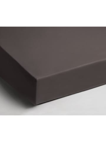 Day Dream Hoeslaken antraciet