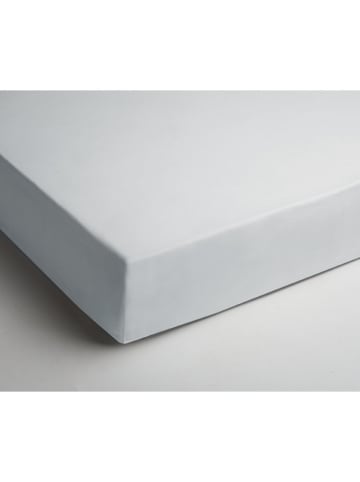 Day Dream Jersey hoeslaken wit