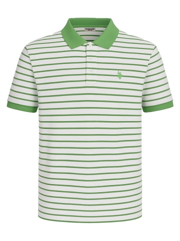 U.S. Polo Assn. Poloshirt groen/wit