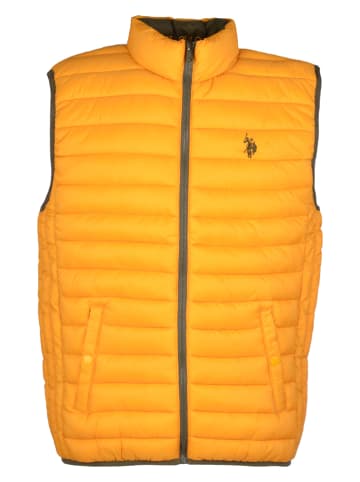 U.S. Polo Assn. Steppweste in Gelb