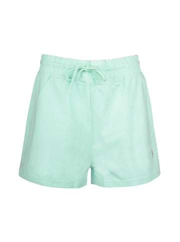 U.S. Polo Assn. Sweatshorts in Mint