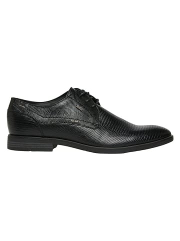 s.Oliver Schnürschuhe in Schwarz