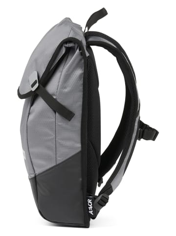 AEVOR Rugzak "Daypack Proof" grijs - (B)34 x (H)48 x (D)14 cm