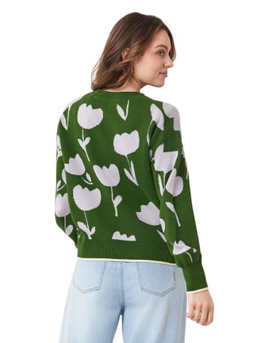 Scotch & Soda Pullover in Grün/ Hellgrau