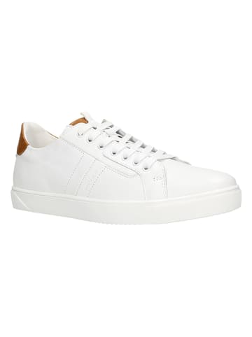 Wojas Leren sneakers wit
