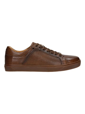 Wojas Leder-Sneakers in Braun