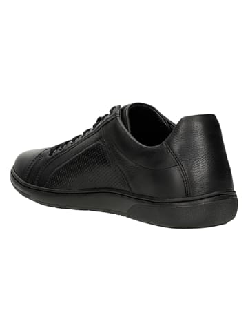 Wojas Leren sneakers zwart