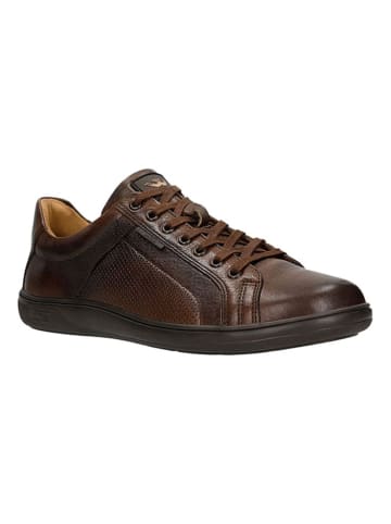 Wojas Leder-Sneakers in Braun