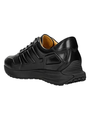 Wojas Skórzane sneakersy w kolorze czarnym