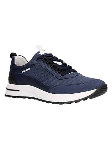 Wojas Leren sneakers donkerblauw