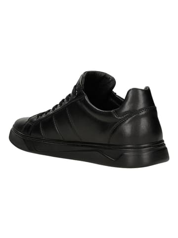 Wojas Leren sneakers zwart