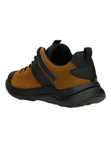 Wojas Sneakers in Hellbraun