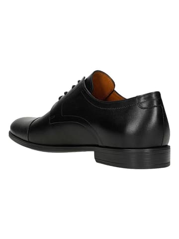 Wojas Leder-Schnürschuhe in Schwarz
