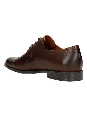 Wojas Leder-Schnürschuhe in Braun