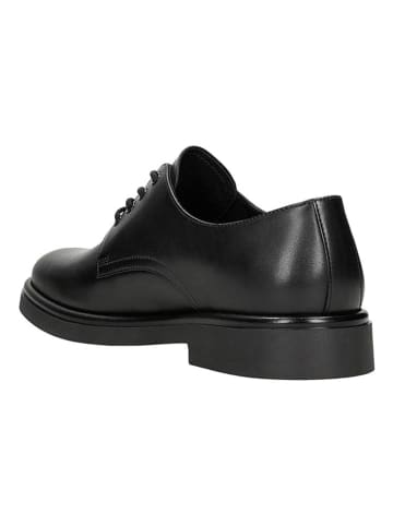 Wojas Leder-Schnürschuhe in Schwarz