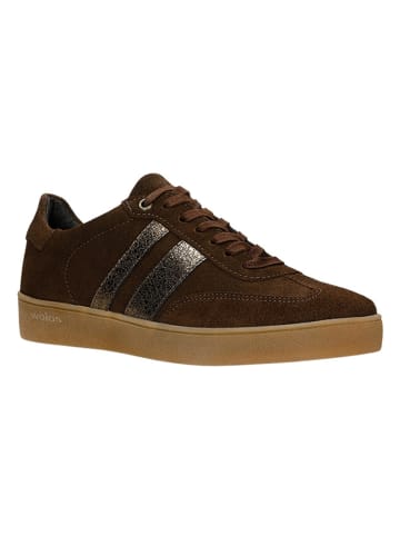 Wojas Leder-Sneakers in Braun/ Gold
