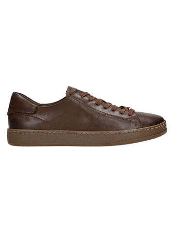 Wojas Leder-Sneakers in Braun