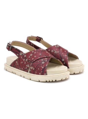 Goby Leder-Sandalen in Beige/ Dunkelrot
