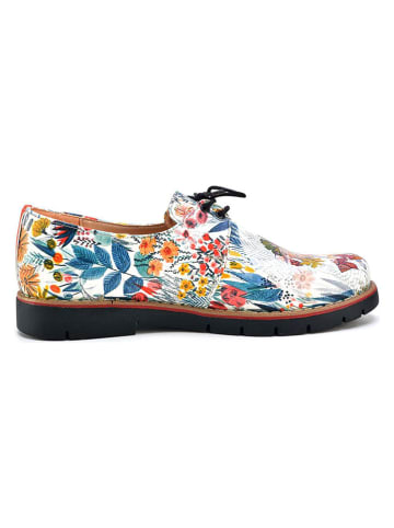 Goby Schnürschuhe in Bunt