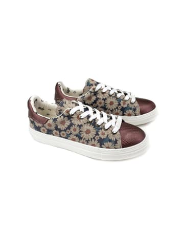 Goby Sneakersy w kolorze brązowym