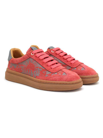 Goby Leren sneakers roze/grijs