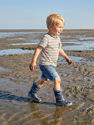 lamino Kalosze w kolorze granatowym