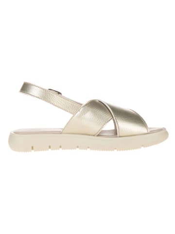 lamino Leder-Sandalen in Gold