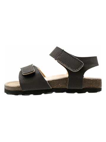 lamino Sandalen in Braun