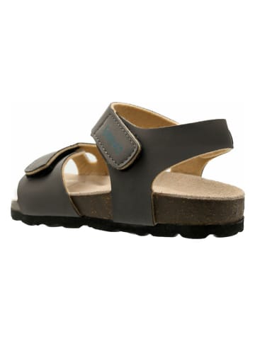 lamino Sandalen grijs