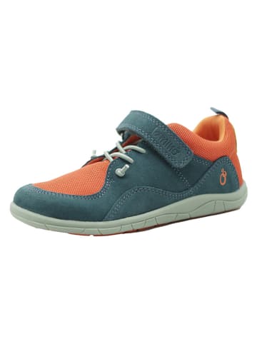 lamino Leder-Barfußschuhe in Türkis/ Orange