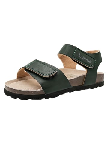 lamino Sandalen groen
