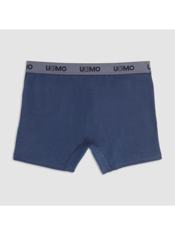 COTONELLA Boxershorts in Dunkelblau