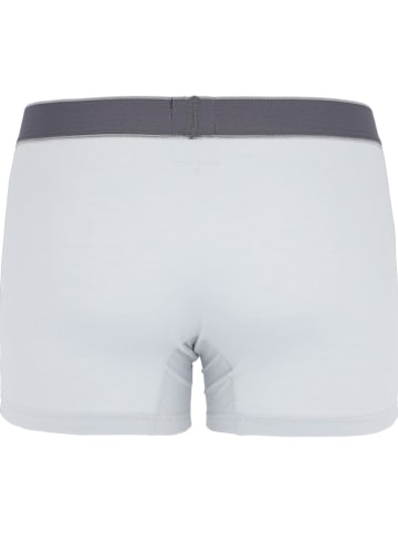 COTONELLA 2er-Set: Boxershorts in Hellgrau